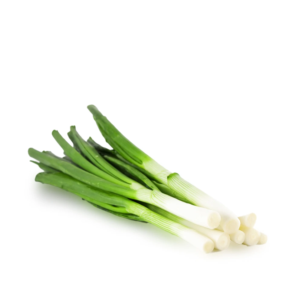 [297] Spring Onion