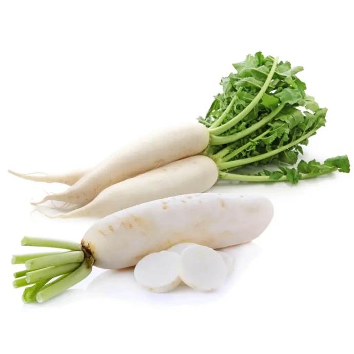 [331] White Radish