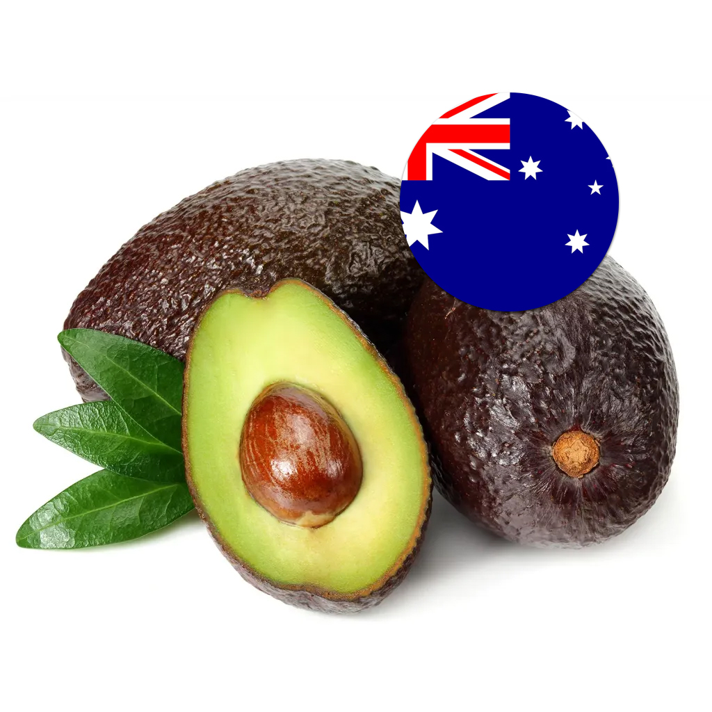 [361] Avocado Australia