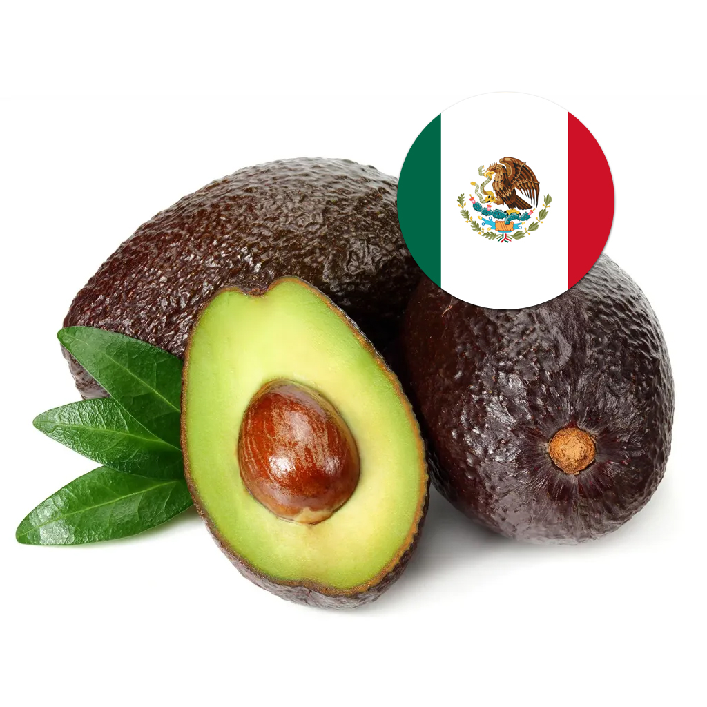 [95] Avocado Mexico
