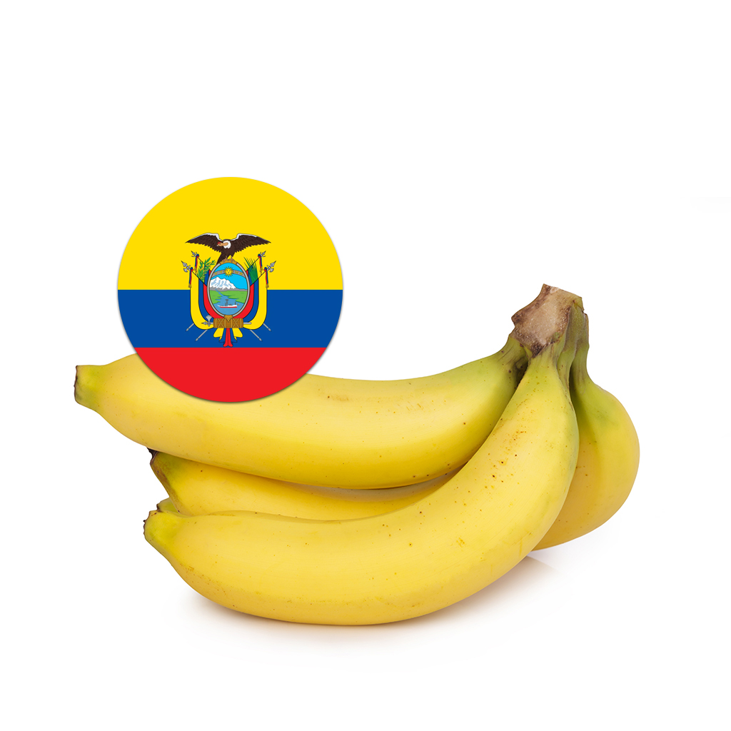 [356] Banana Ecuadoor