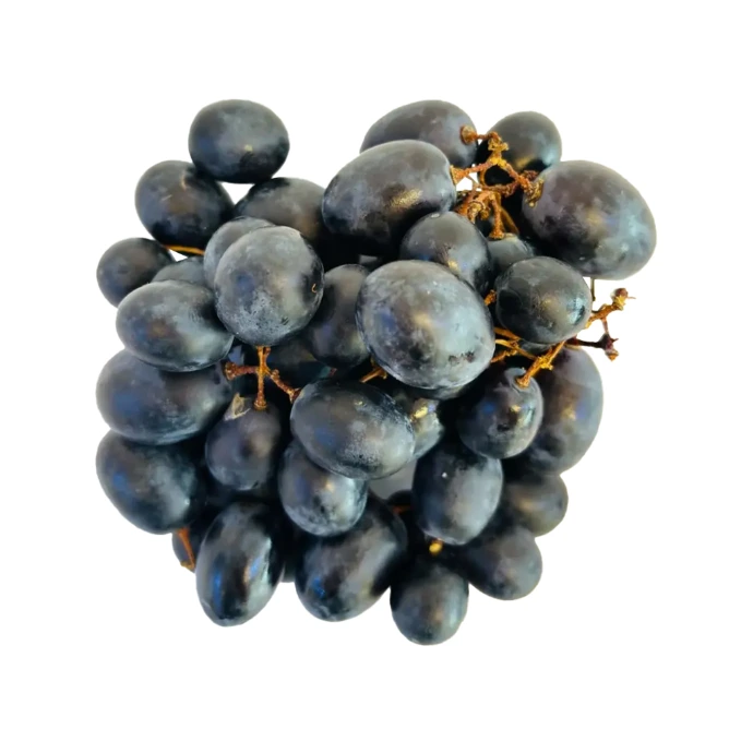 [66] Black Iron grape