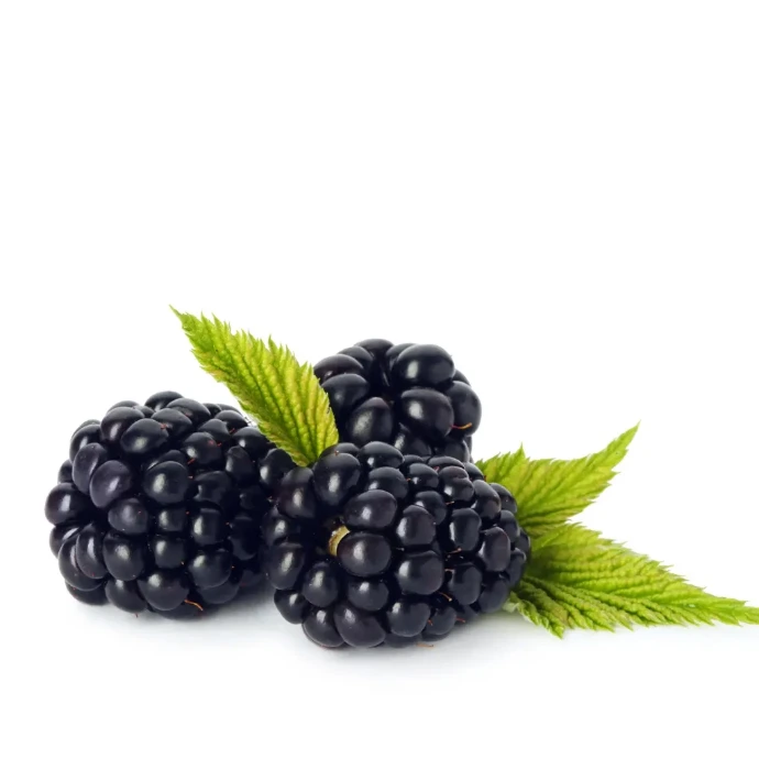[109] Blackberry