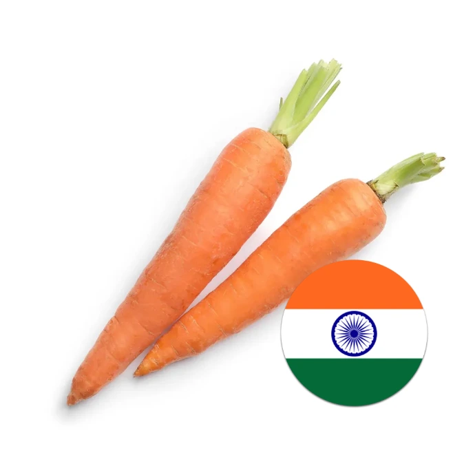 [310] Carrot India