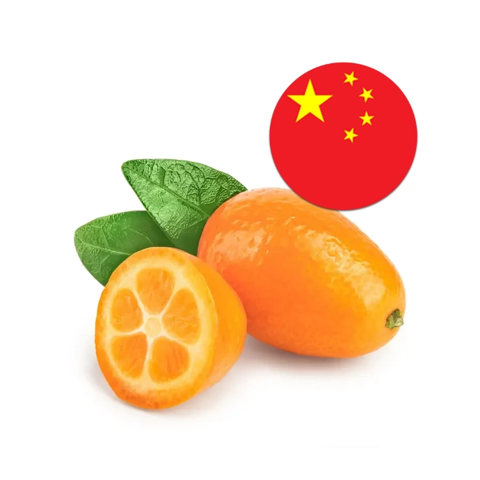 [206] China Orange Small