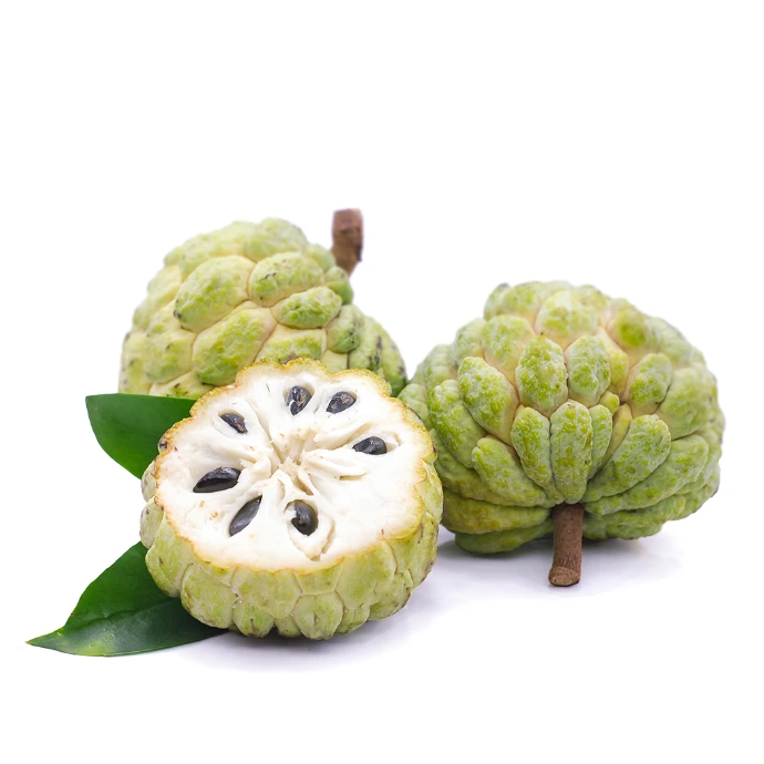 [208] Custard Apple