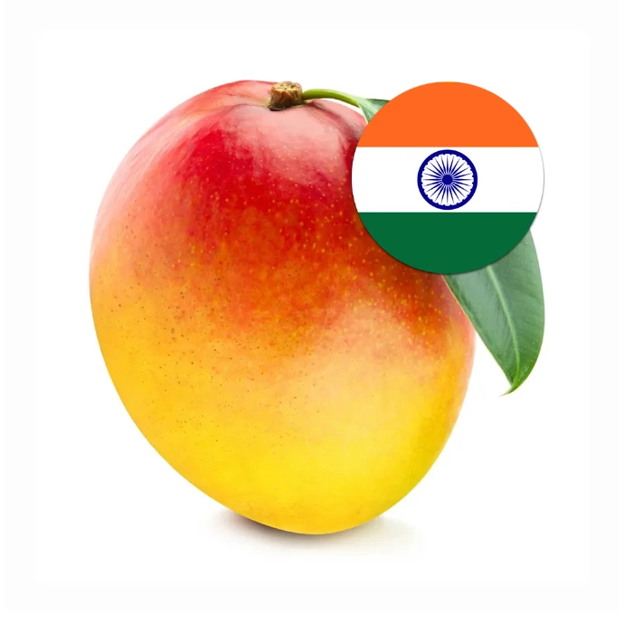 [284] Mango - India