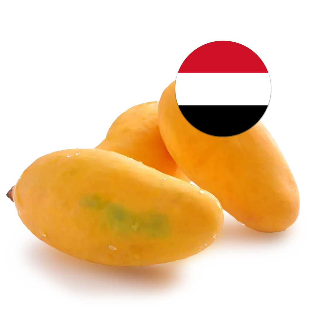 [285] Mango - Yemon