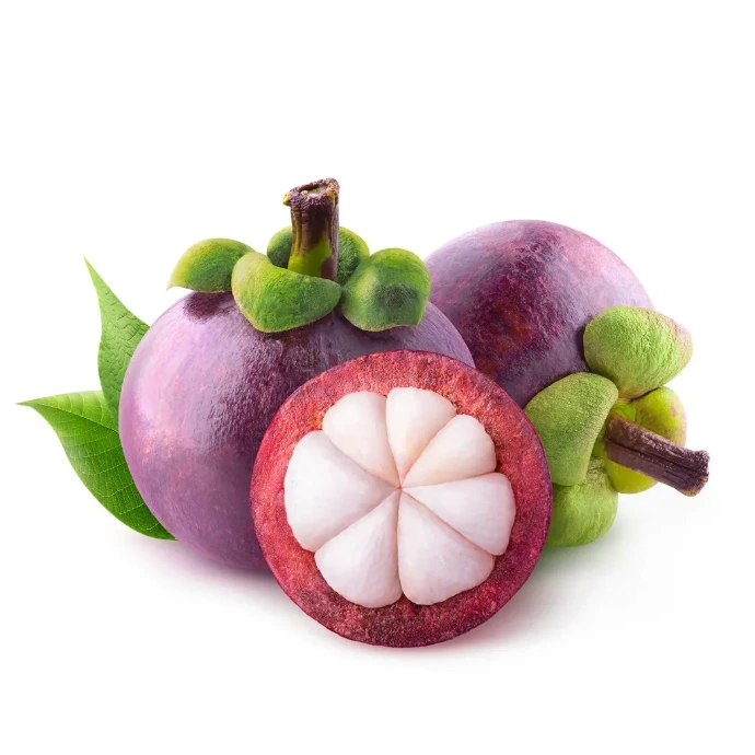 [360] Mangosteen Indu