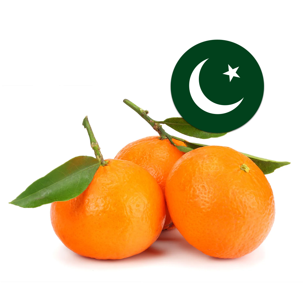 [243] Pakistani Orange (Kinnow)