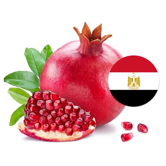[112] Pomergranate Egypt