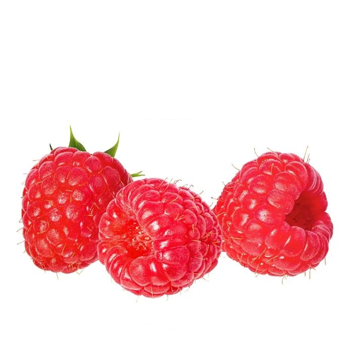 [201] Raspberry