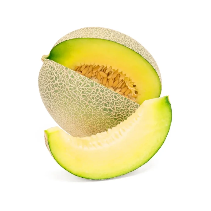 [104] Rock Melon
