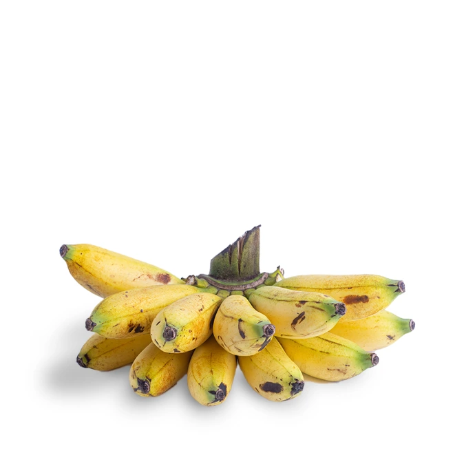 [115] Small Banana