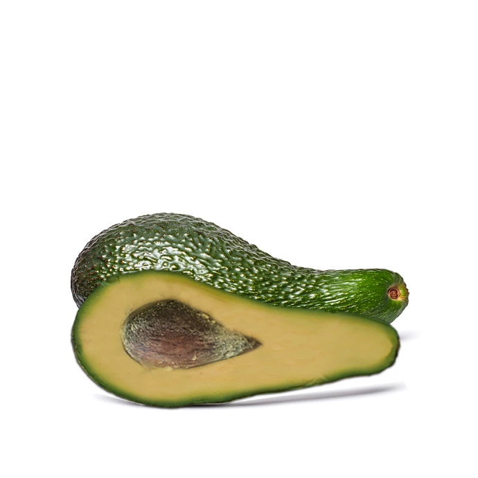 [231] Snake Avocado