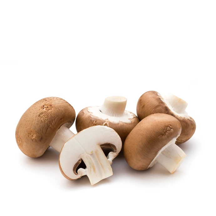 [120] Mushroom Brown