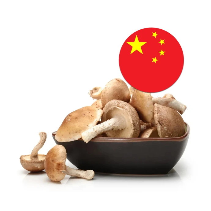 [79] Mushroom Brown China