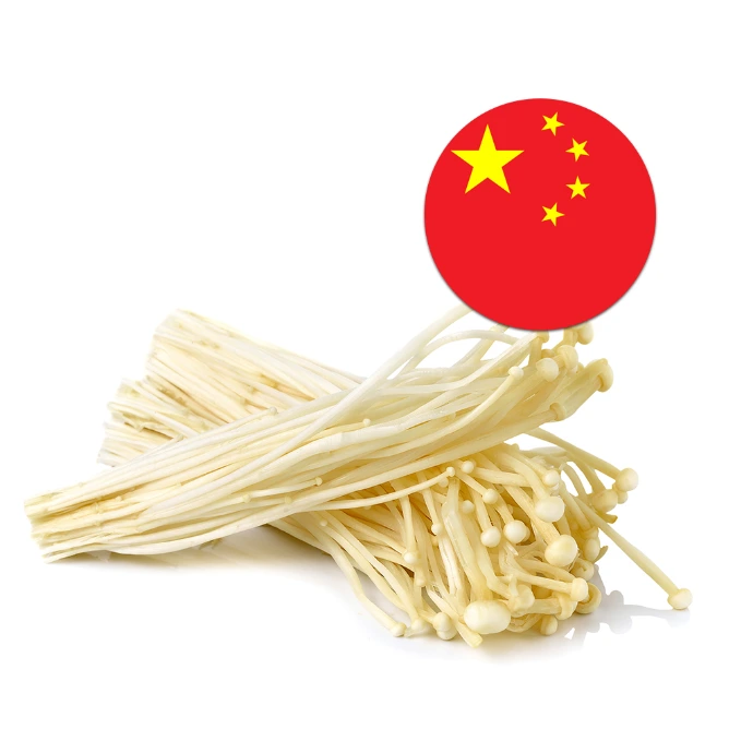 [81] Mushroom Enoki China