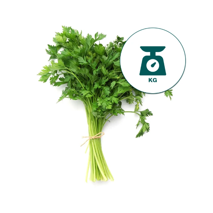 [0048M] Coriander Leave Kg