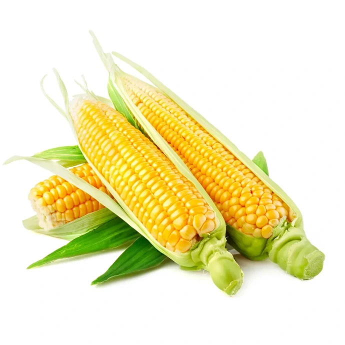 [12] Corn