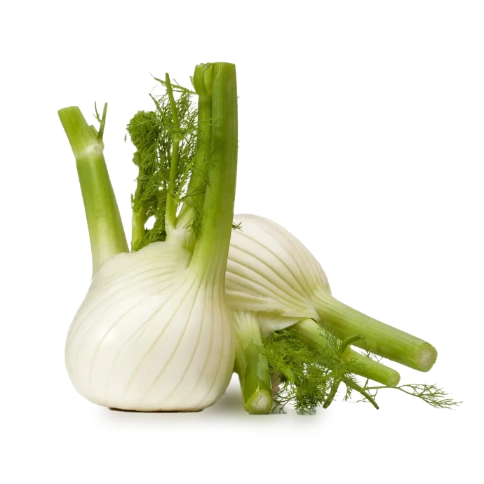 [46] Fennel