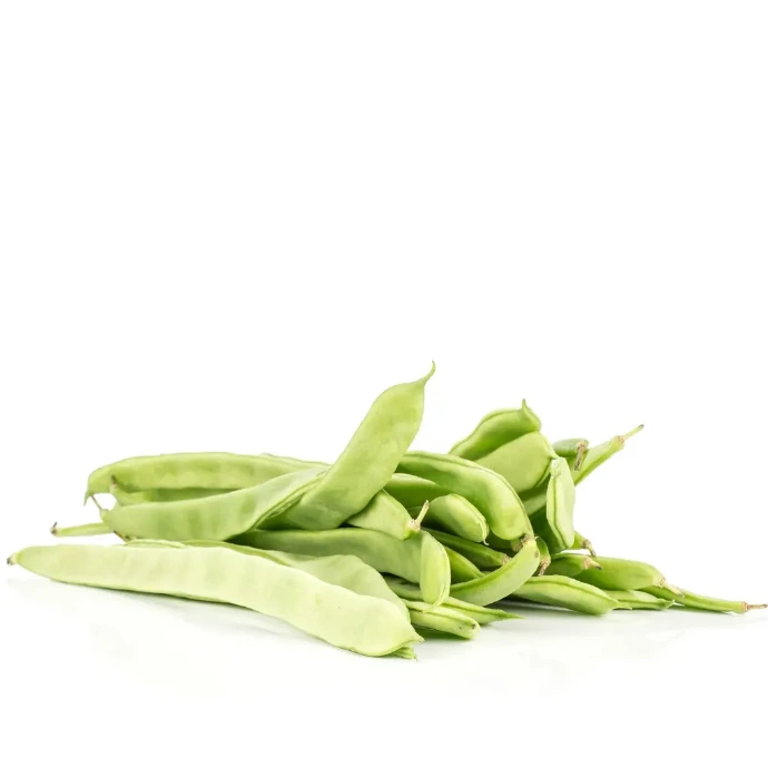 [41] Green Beans