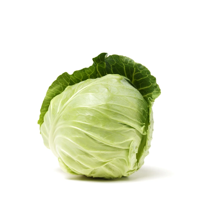 [16] Green Cabbage