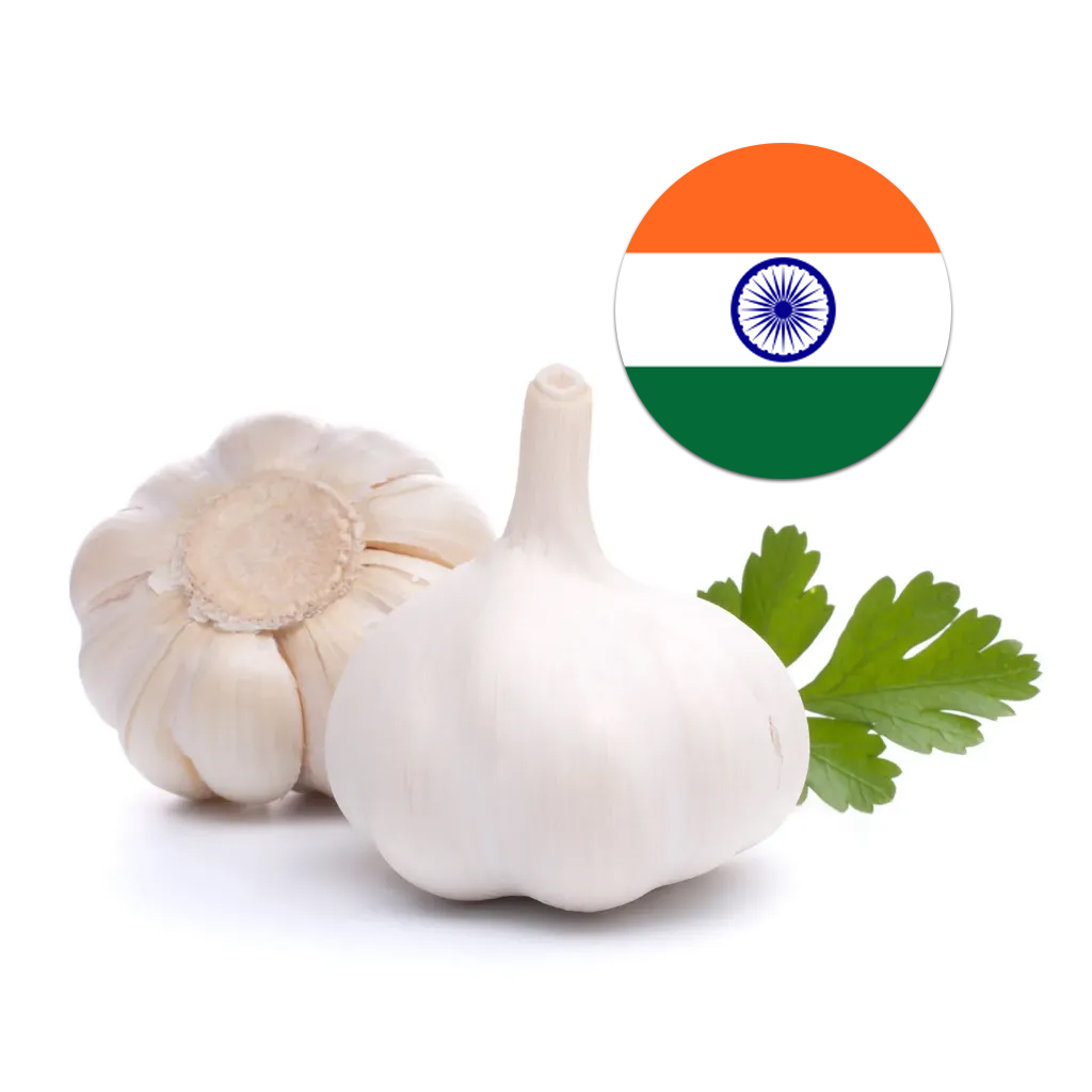 [85] Indian Garlic