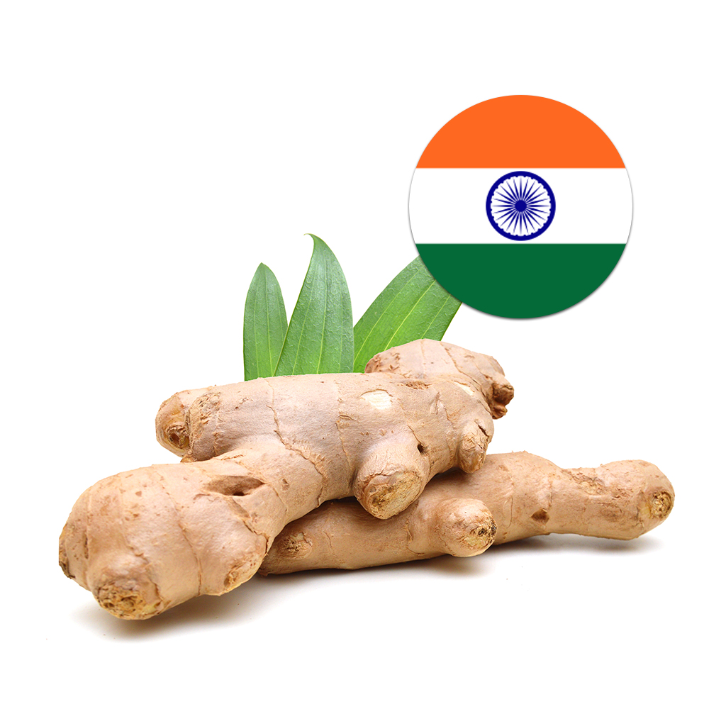 [87] Indian Ginger