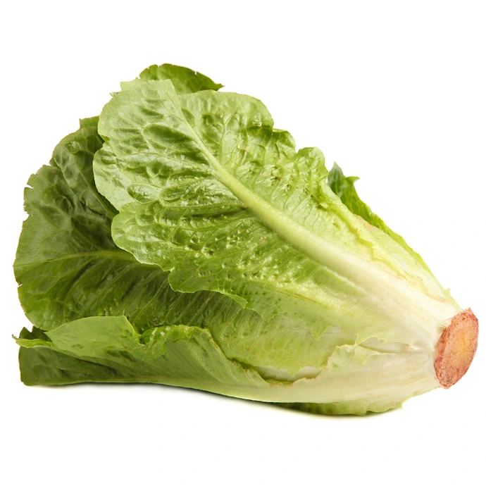 [36] Lettuce
