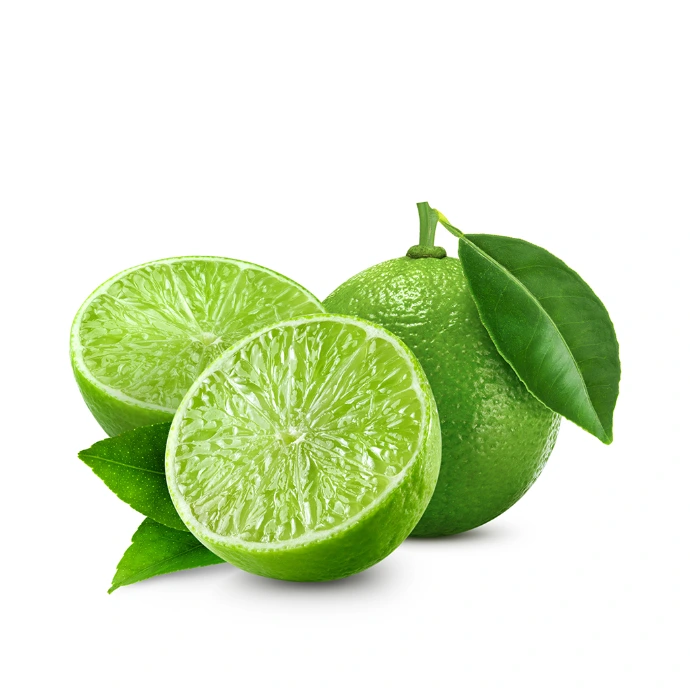 [65] Lime