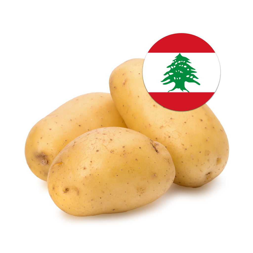 [159] Potato Lebanon