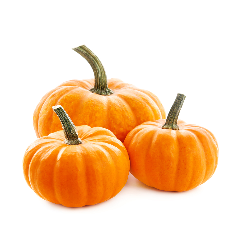[14] Pumpkin