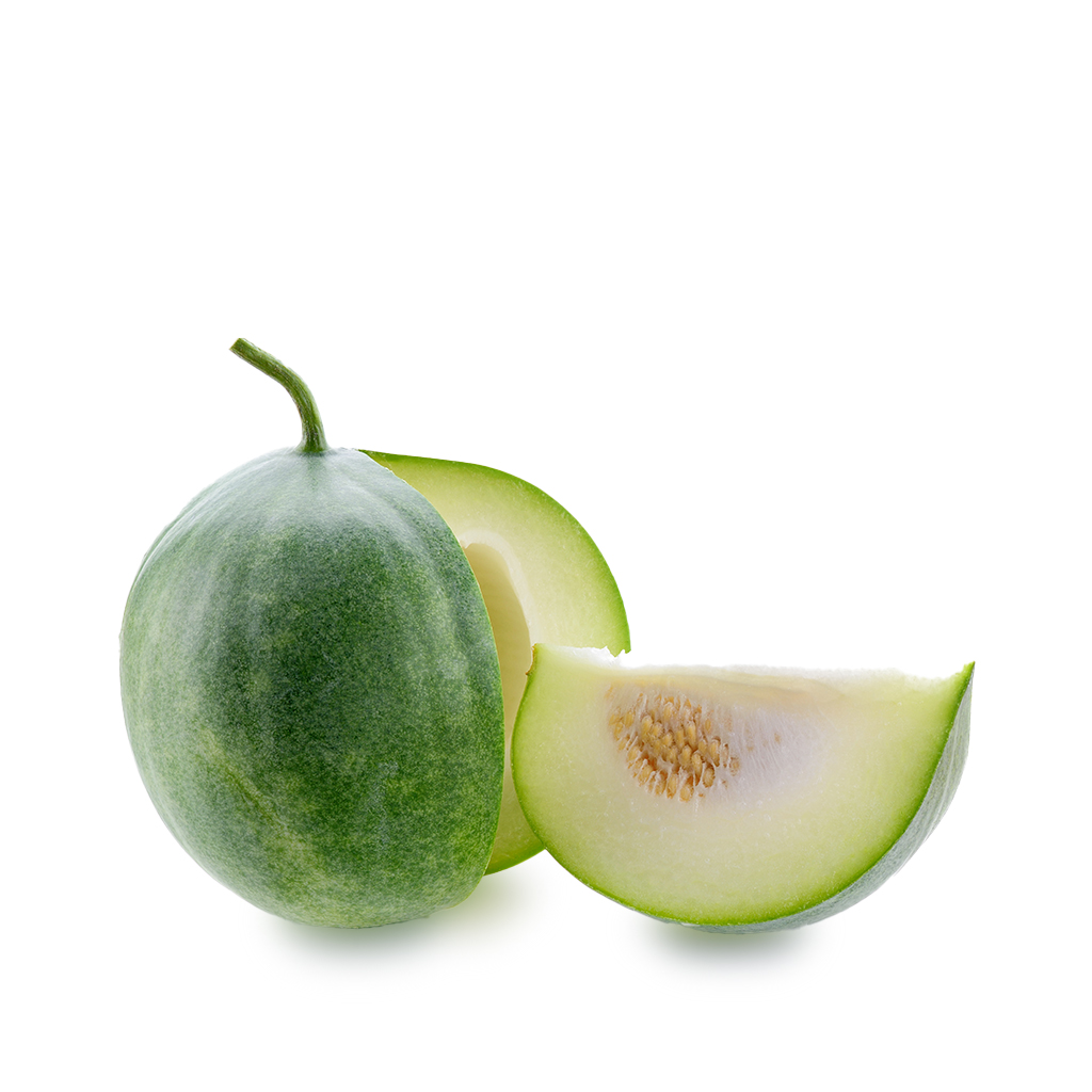 [107] Pumpkin Small Green