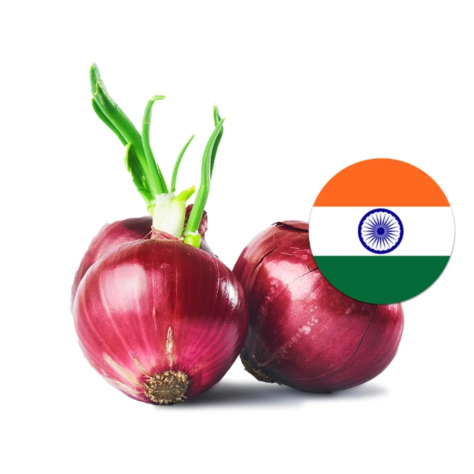 [157] Red Onion India