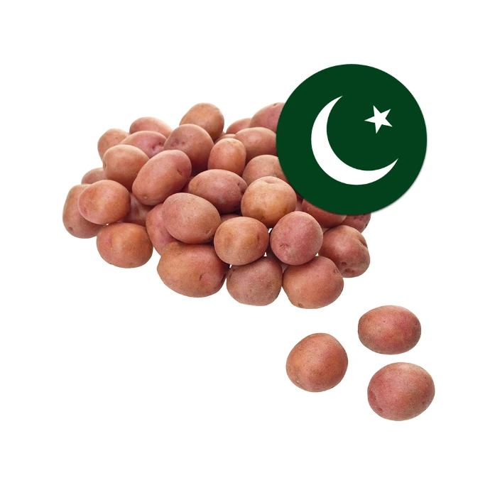 [125] Red Potato Pakistan