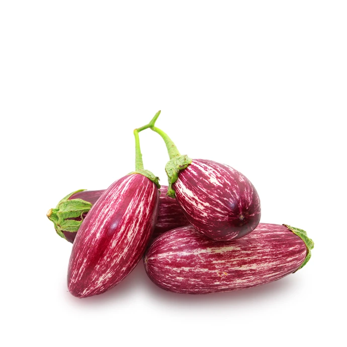 [122] Small Eggplant