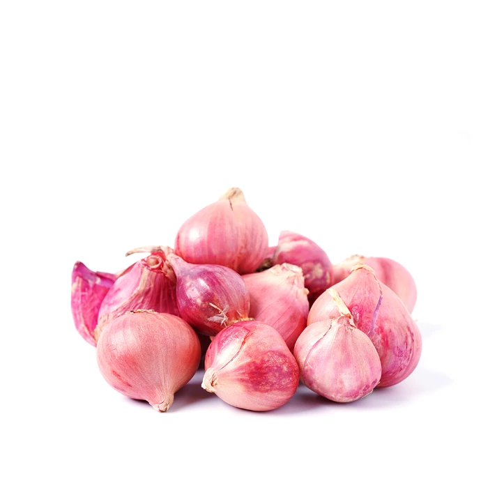[86] Small Onion