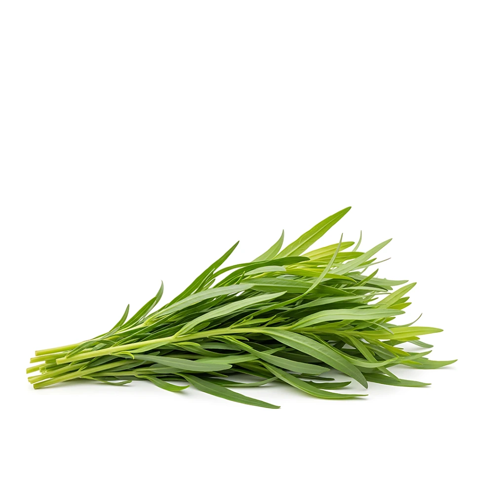 Tarragon leaves