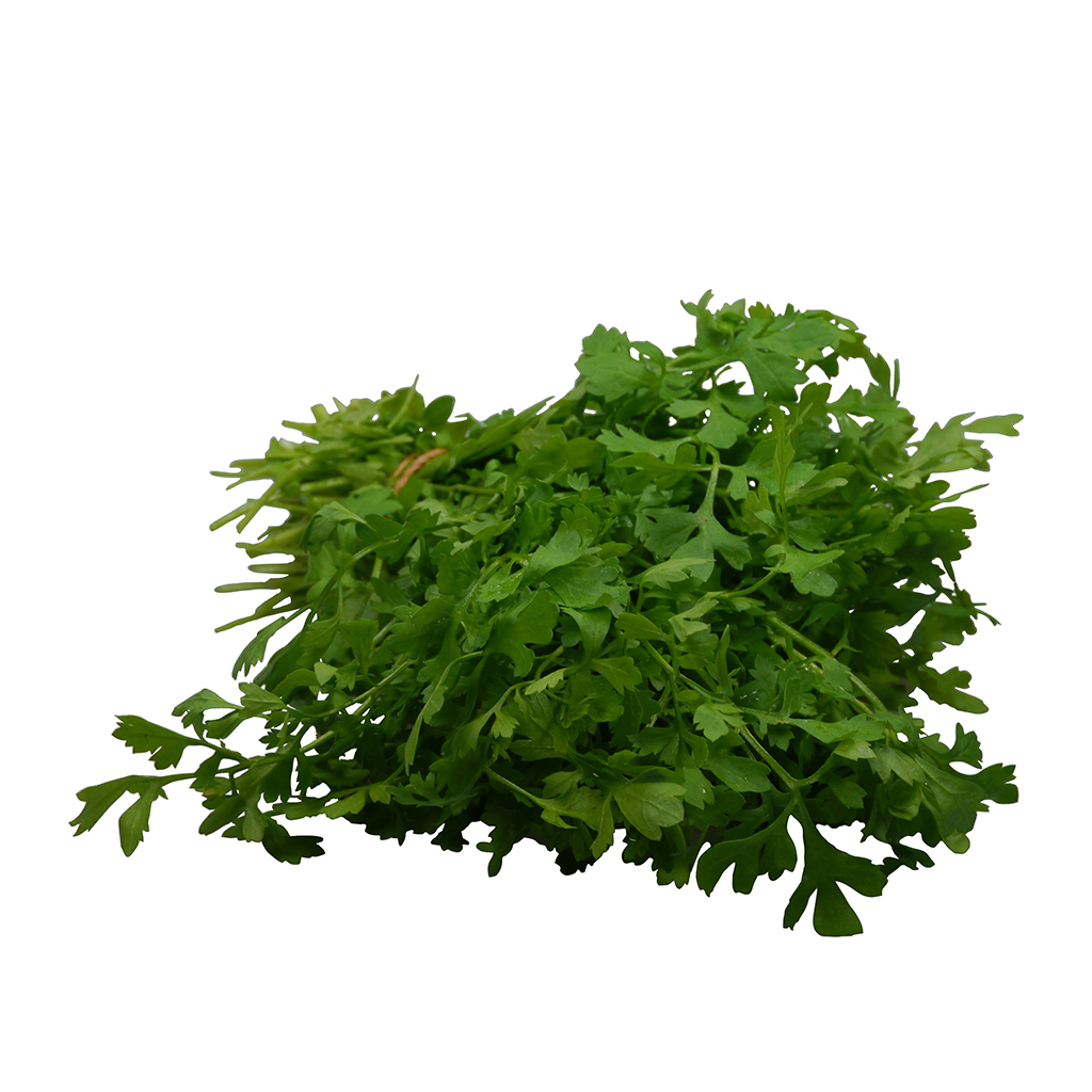 Parsley Leaves