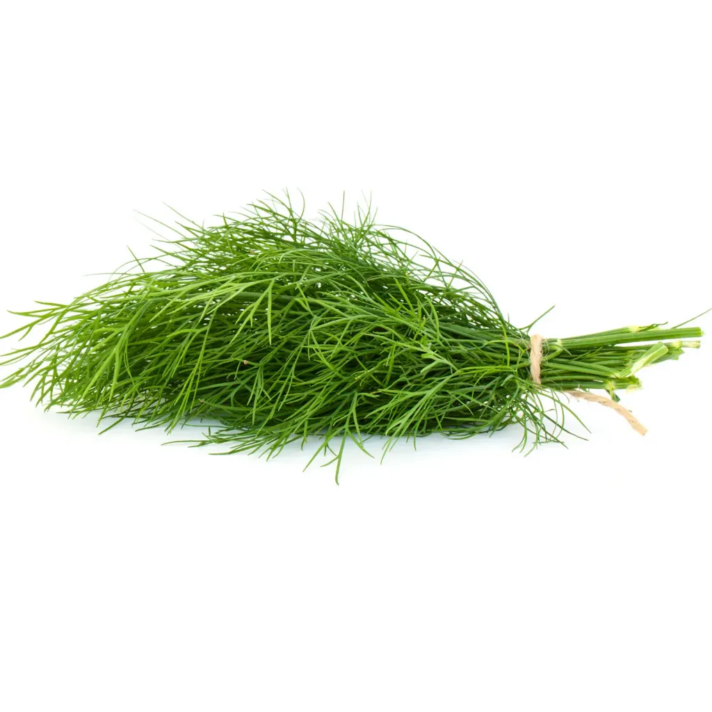 Dill Leaves